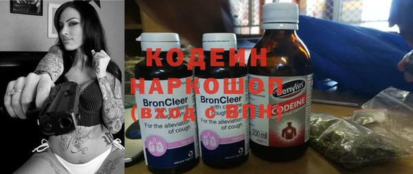 крисы Верхний Тагил
