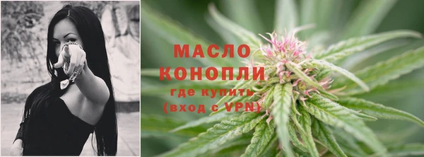 крисы Верхний Тагил