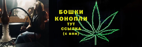 крисы Верхний Тагил