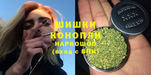 крисы Верхний Тагил