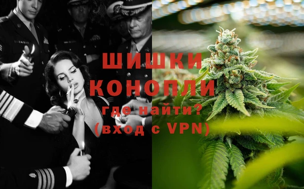 каннабис Верея