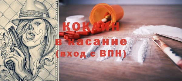 крисы Верхний Тагил