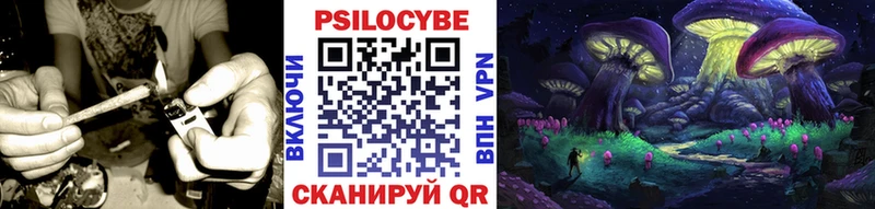 Псилоцибиновые грибы GOLDEN TEACHER  Архангельск 